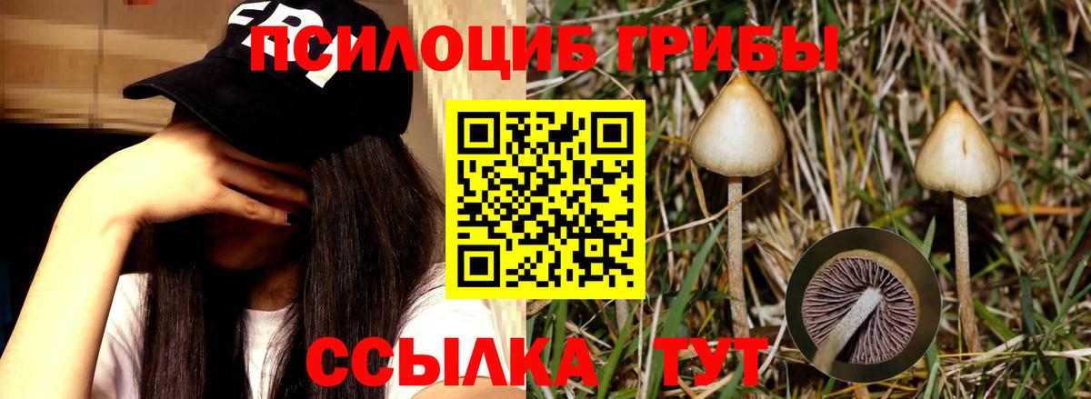 Псилоцибиновые грибы MAGIC MUSHROOMS Клин