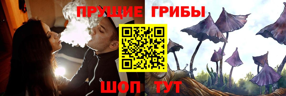 Псилоцибиновые грибы мухоморы  Вход с VPN  Псилоцибиновые грибы MAGIC MUSHROOMS  Клин 