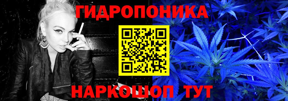Клин  Каннабис сатива  Вход с VPN  Конопля SATIVA & INDICA  Конопля семена  Конопля THC 21% 